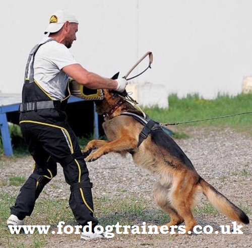Schutzhund dog training suit